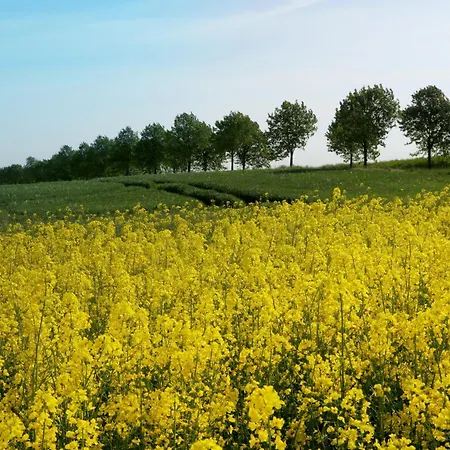 Haus Seegang Für Naturliebhaber, Strandnah, Ruhig, Mit Großem Garten Ferienhaus Pepelow