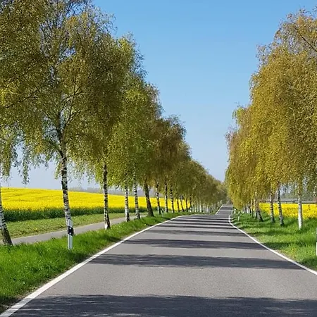 Haus Seegang Für Naturliebhaber, Strandnah, Ruhig, Mit Großem Garten Pepelow