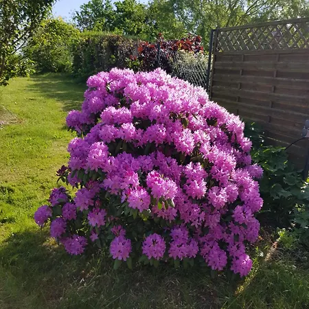 Haus Seegang Für Naturliebhaber, Strandnah, Ruhig, Mit Großem Garten Ferienhaus Pepelow
