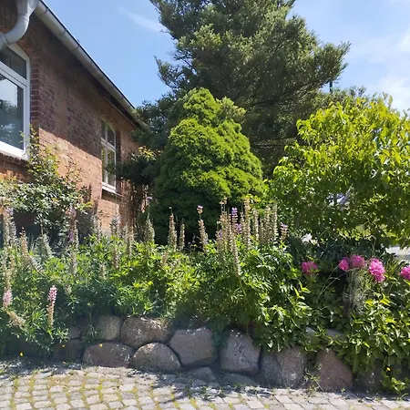 Ferienhaus Haus Seegang Für Naturliebhaber, Strandnah, Ruhig, Mit Großem Garten Pepelow